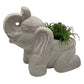 17" Cream Elephant with Succulents Indoor Outdoor Statue